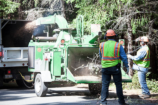 Best Utility Line Clearance  in Arkoma, OK